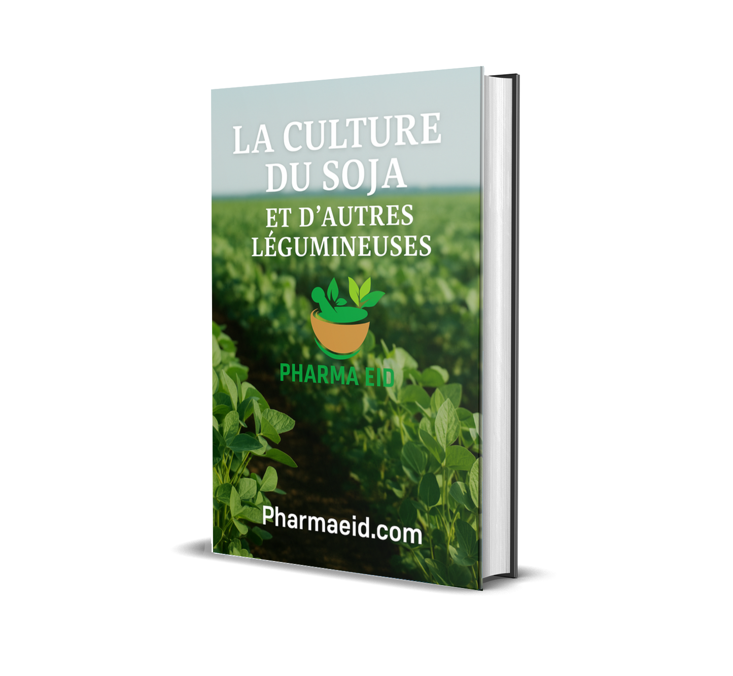 La Culture du Soja et d’Autres Légumineuses – Guide Complet de Plantation, Entretien et Rentabilité Agricole