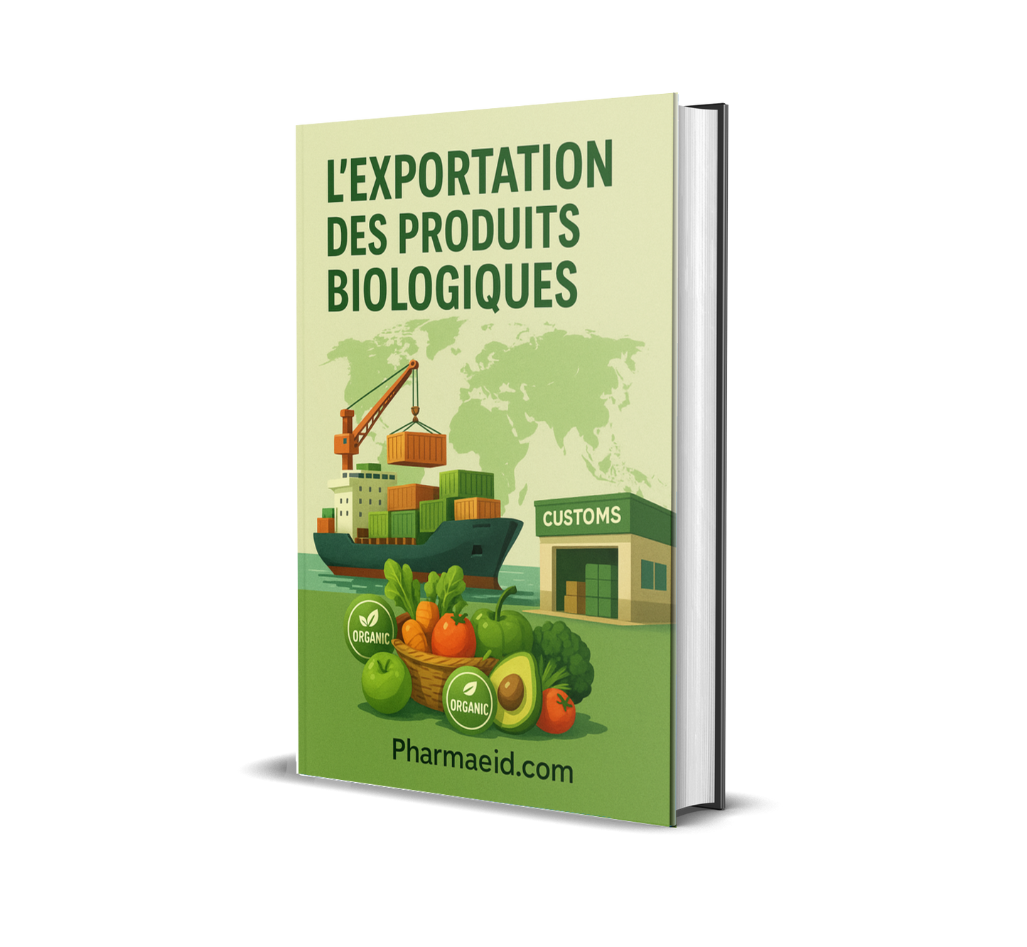 L’Exportation des Produits Biologiques – Guide Complet pour Réussir sur le Marché International