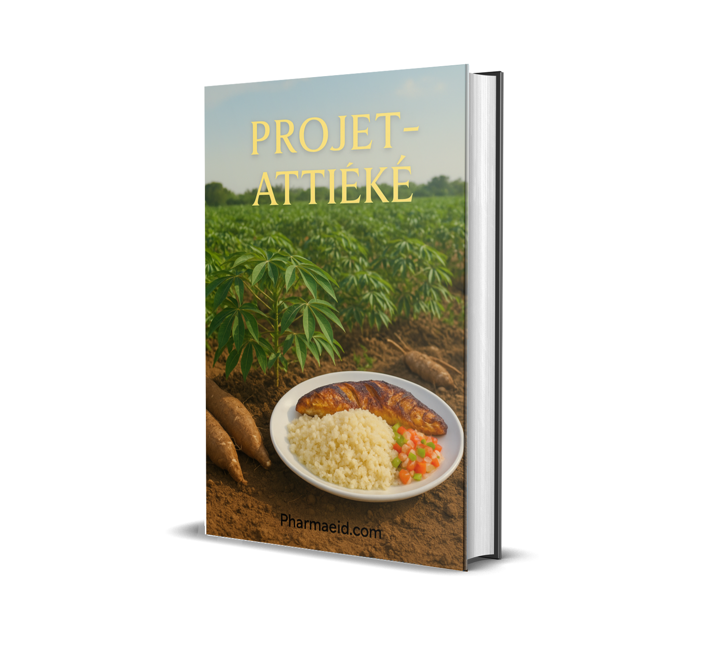 Projet Attiéké – Guide Complet pour la Production et la Commercialisation