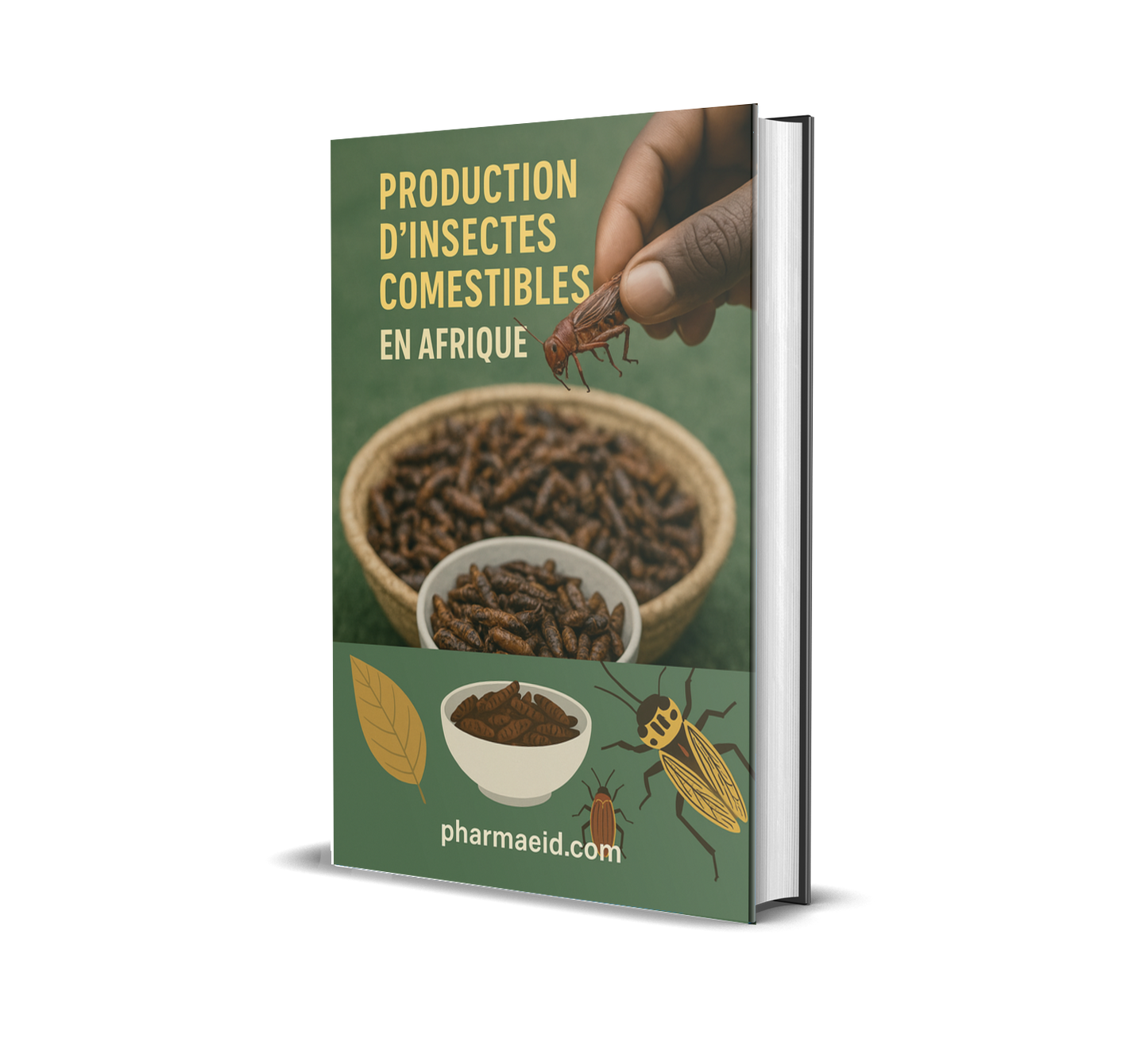 Production d'Insectes Comestibles en Afrique – Guide Pratique pour un Élevage Rentable, Écologique