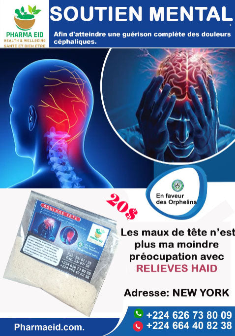 PSP06 - Soutien Naturel à la Détente Quotidienne