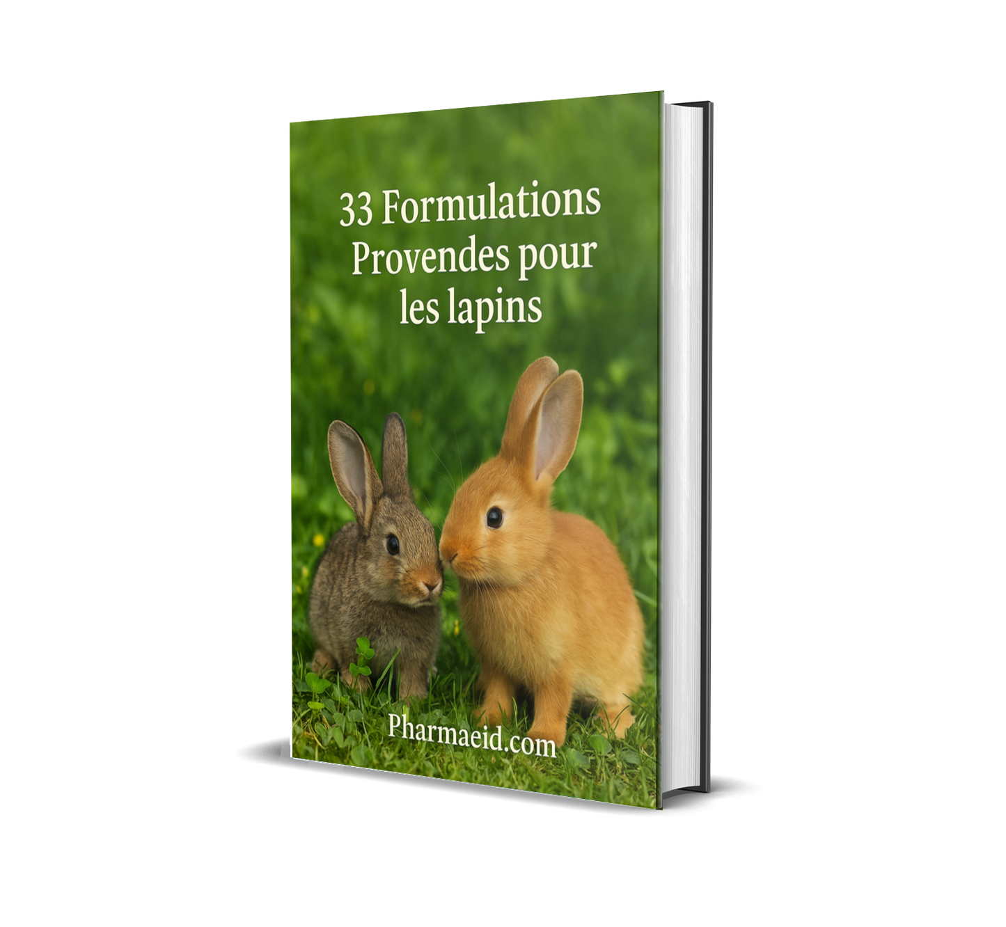 33 Formulations de Provendes pour Lapins – Guide Pratique d’Alimentation Équilibrée