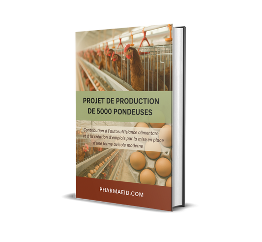 Projet de Production de 5000 Pondeuses – Guide Pratique pour un Élevage Avicole Rentable