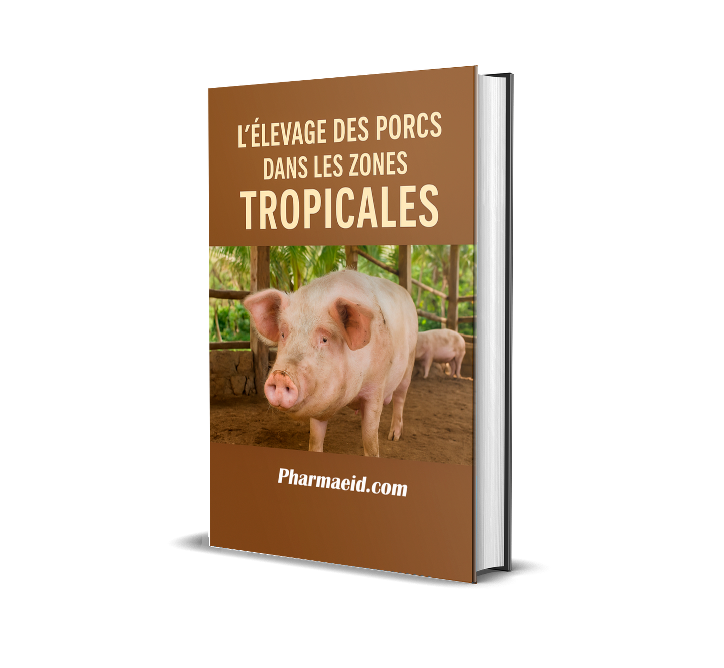 L’Élevage des Porcs dans les Zones Tropicales – Guide Pratique pour une Production Rentable et Adaptée au Climat Chaud