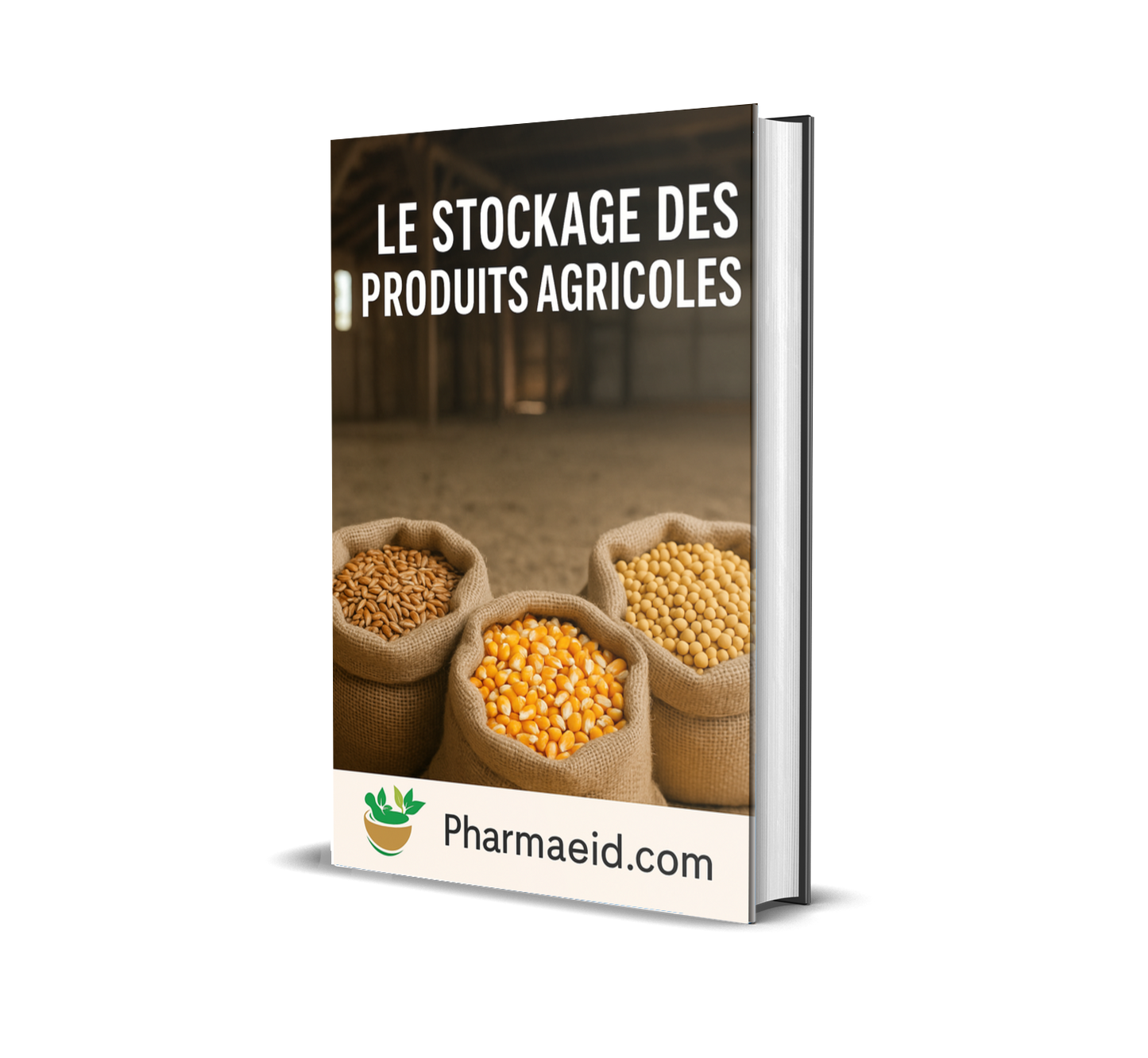 Le Stockage des Produits Agricoles – Guide Pratique de Conservation et de Gestion Post-Récolte