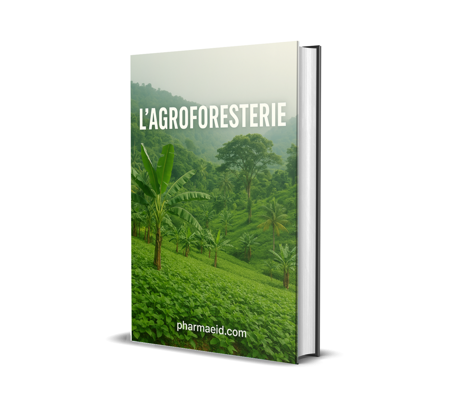 Agrodok-16 – L’Agroforesterie : Guide Pratique pour Associer Arbres, Cultures et Élevage de Manière Durable
