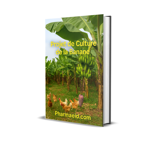 Fiche Projet – Culture et Commercialisation de la Banane Plantain