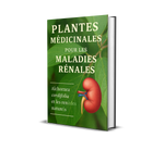 Remèdes à base de plantes pour les maladies rénales