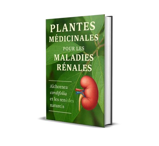 Remèdes à base de plantes pour les maladies rénales