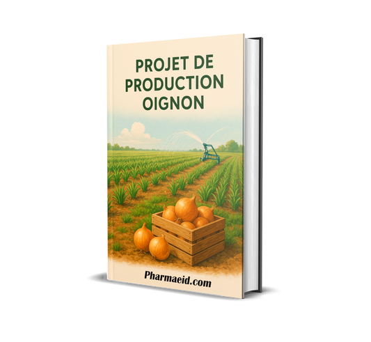 Projet de Production d’Oignon – Guide Pratique pour une Culture Rentable