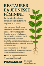 Le Pouvoir de Guérison de l’Alchornea cordifolia